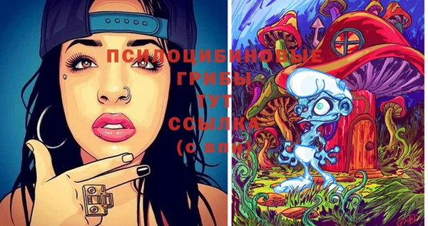 индика Ладушкин