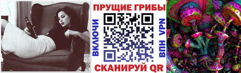 Галлюциногенные грибы GOLDEN TEACHER  магазин продажи наркотиков  мега ссылка  Осинники 